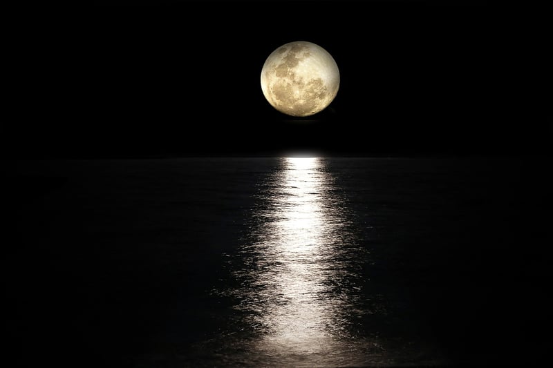 Moonlit Ensemble
